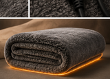 HotDawg: Owner's Heated Blanket